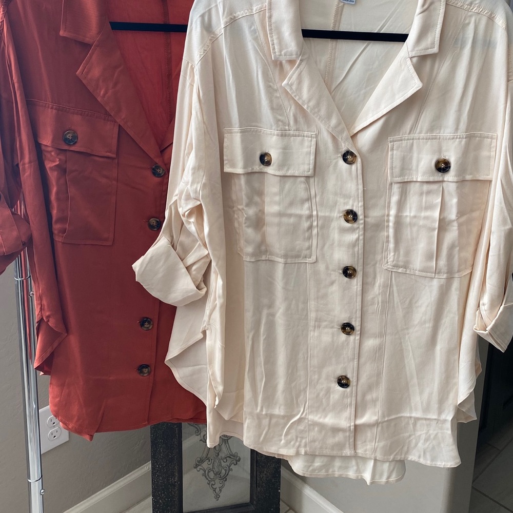 TORTOISE - Picture 5 of 5